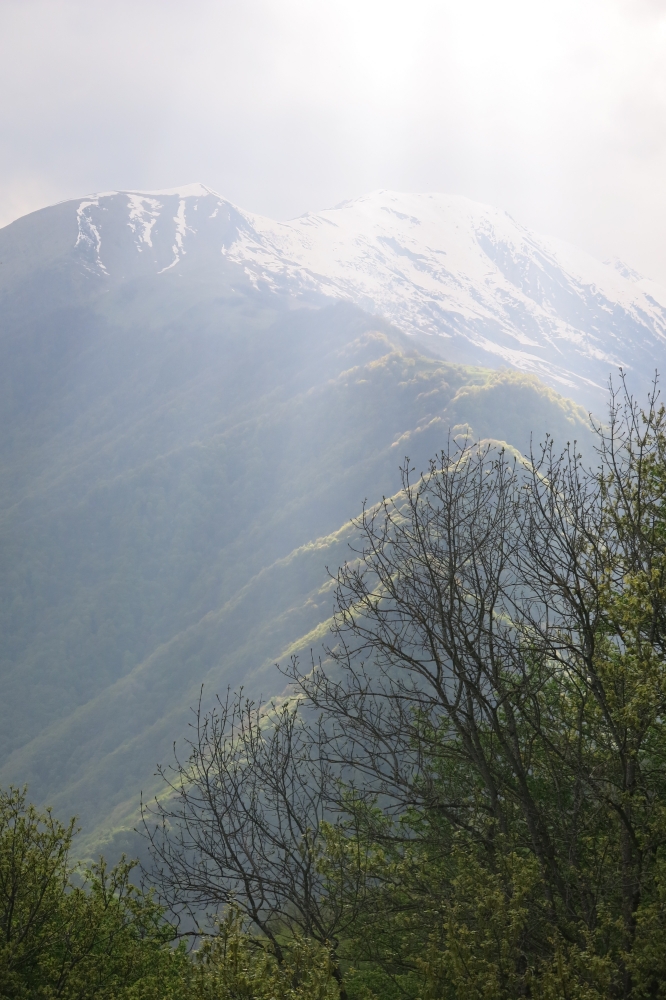 La langue et le miel